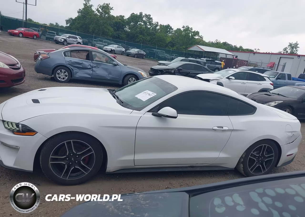 2020 Ford Mustang Ecoboost Premium Fastback VIN:1FA6P8TH8L5139084 - 14