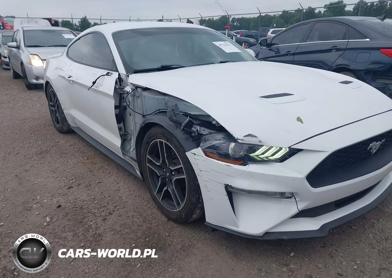 2020 Ford Mustang Ecoboost Premium Fastback VIN:1FA6P8TH8L5139084 - 17