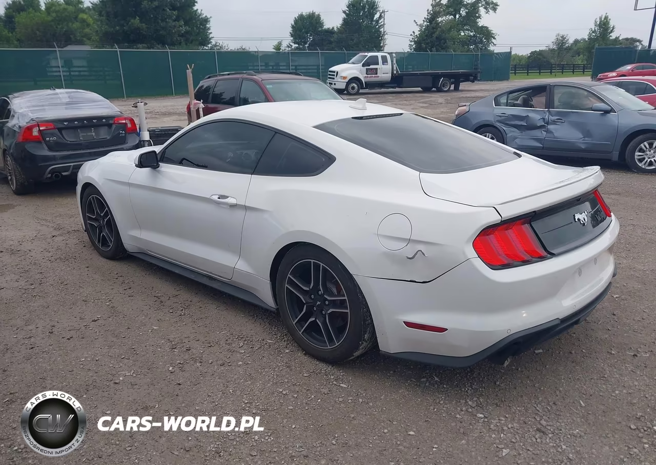 2020 Ford Mustang Ecoboost Premium Fastback VIN:1FA6P8TH8L5139084 - 3