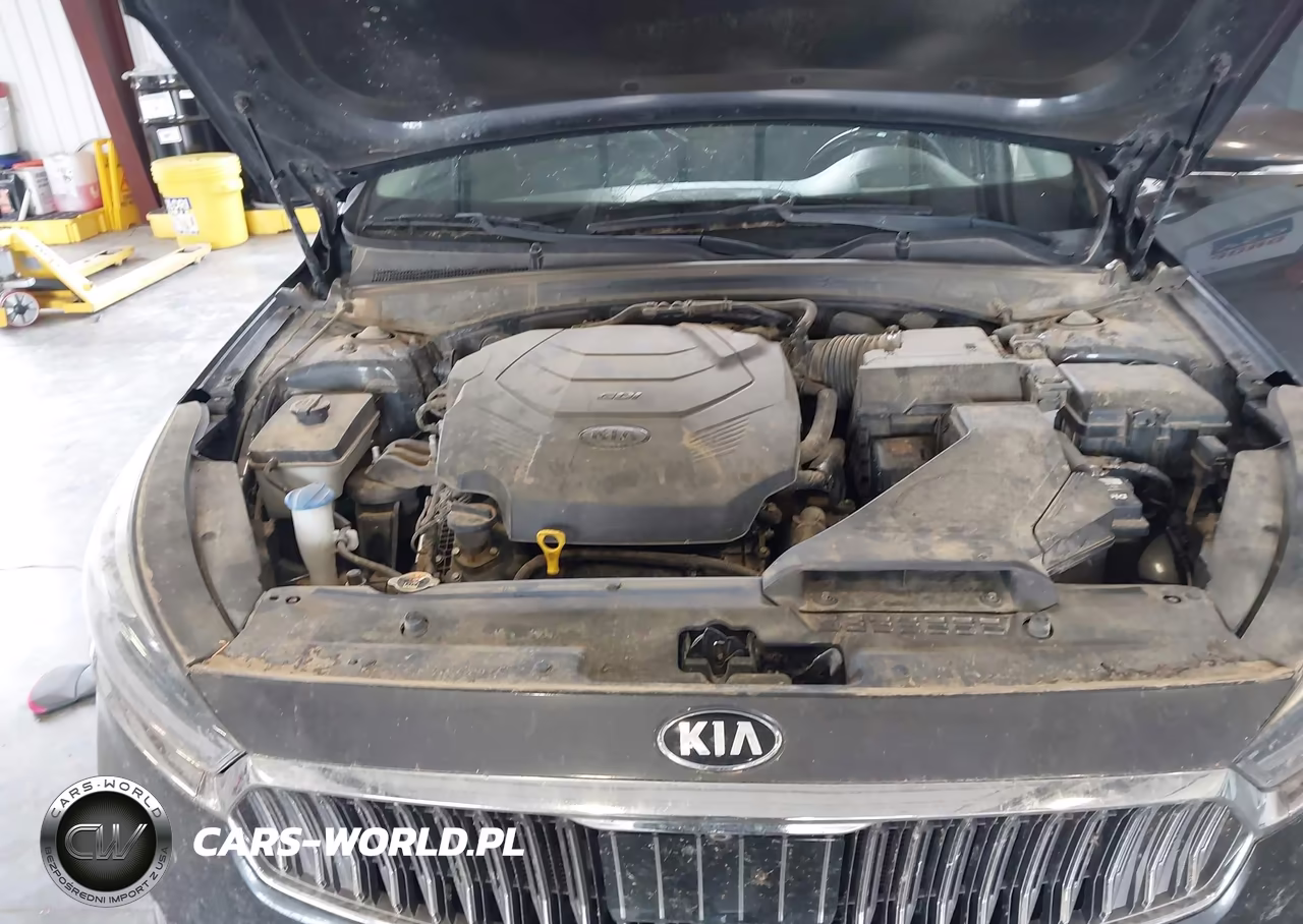 2017 Kia Cadenza Limited VIN:KNALC4J14H5069482 - 10