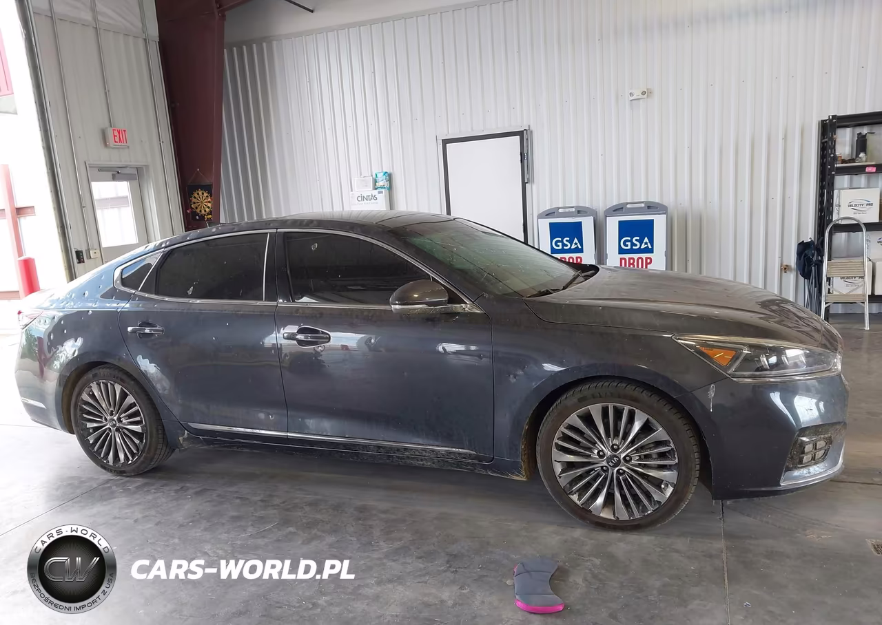 2017 Kia Cadenza Limited VIN:KNALC4J14H5069482 - 13