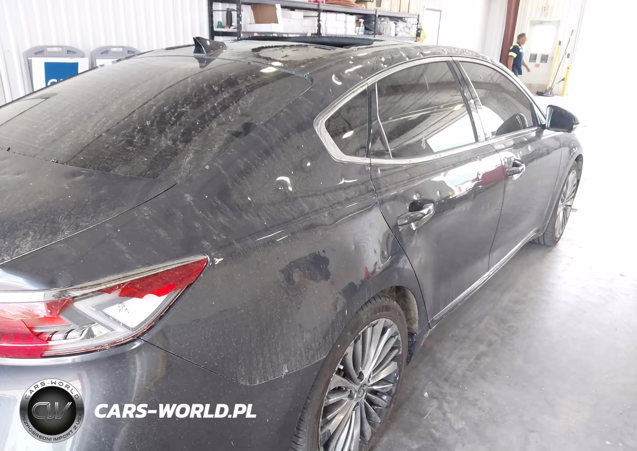 2017 Kia Cadenza Limited VIN:KNALC4J14H5069482 - 19