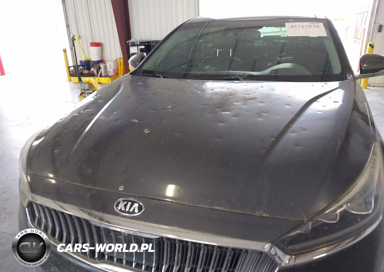 2017 Kia Cadenza Limited VIN:KNALC4J14H5069482 - 6