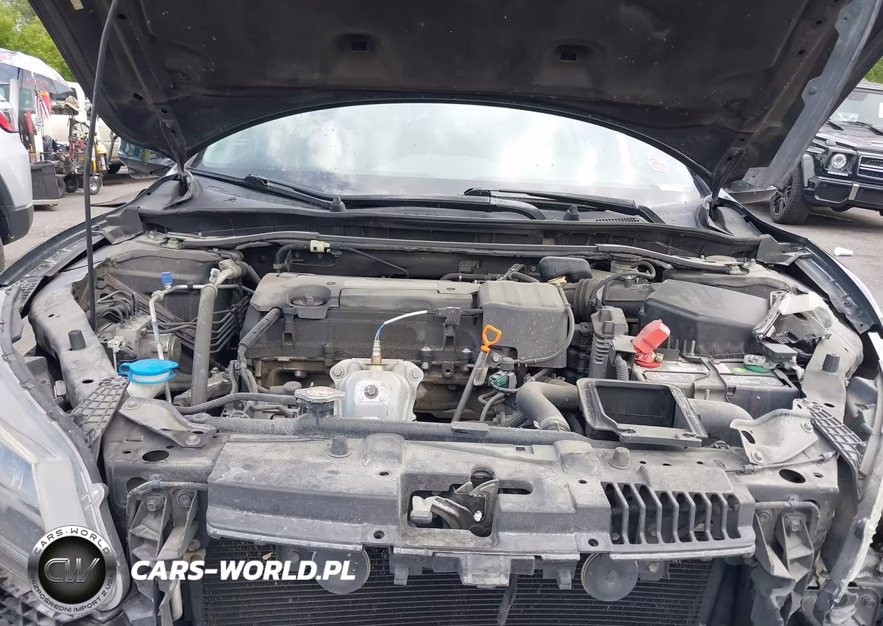 2014 Honda Accord Ex-L VIN:1HGCR2F85EA302852 - 10