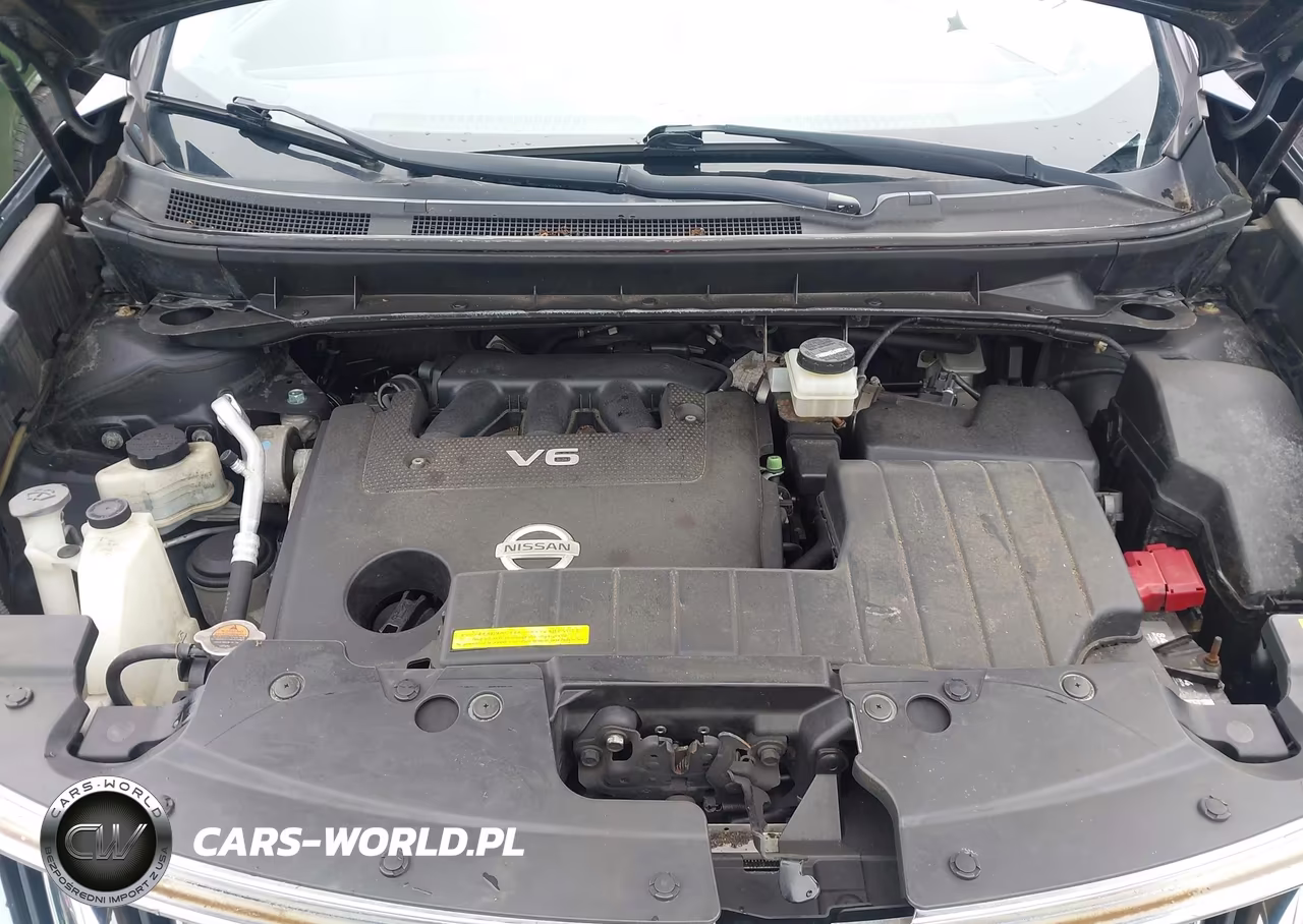 2009 Nissan Murano Le VIN:JN8AZ18W29W131552 - 10