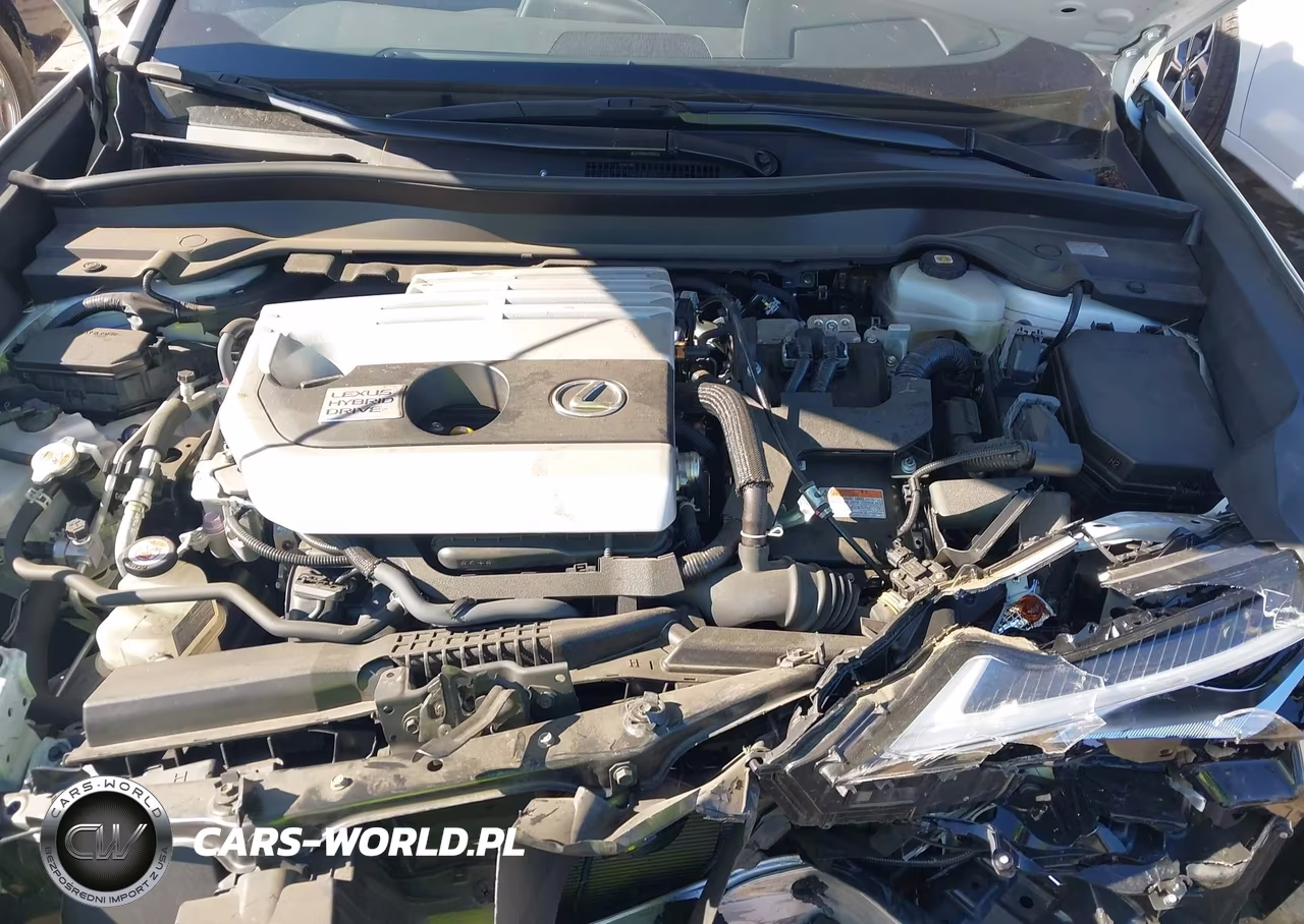 2021 Lexus Ux 250H VIN:JTHX9JBH8M2038467 - 10