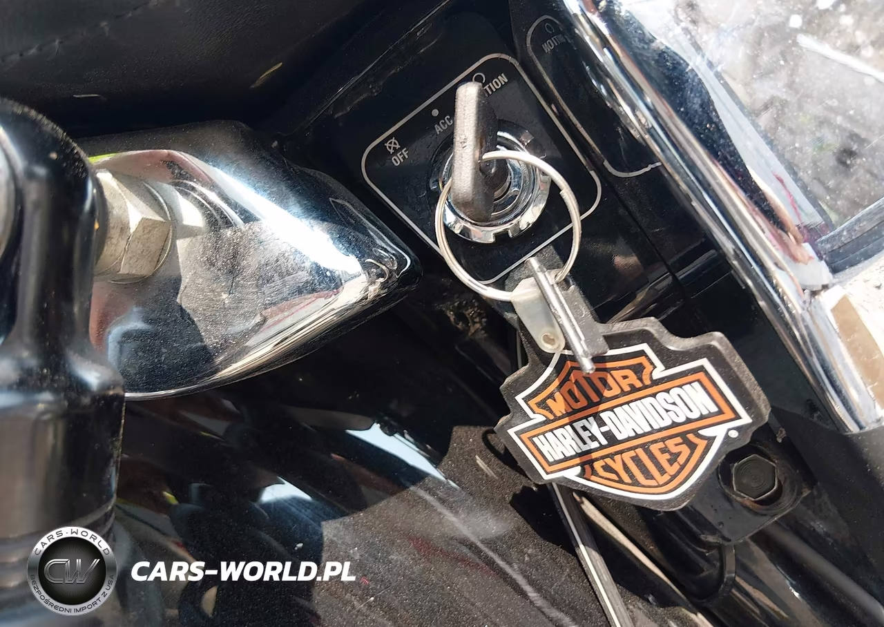 2003 Harley-Davidson Fxd VIN:1HD1GHV113K317583 - 11
