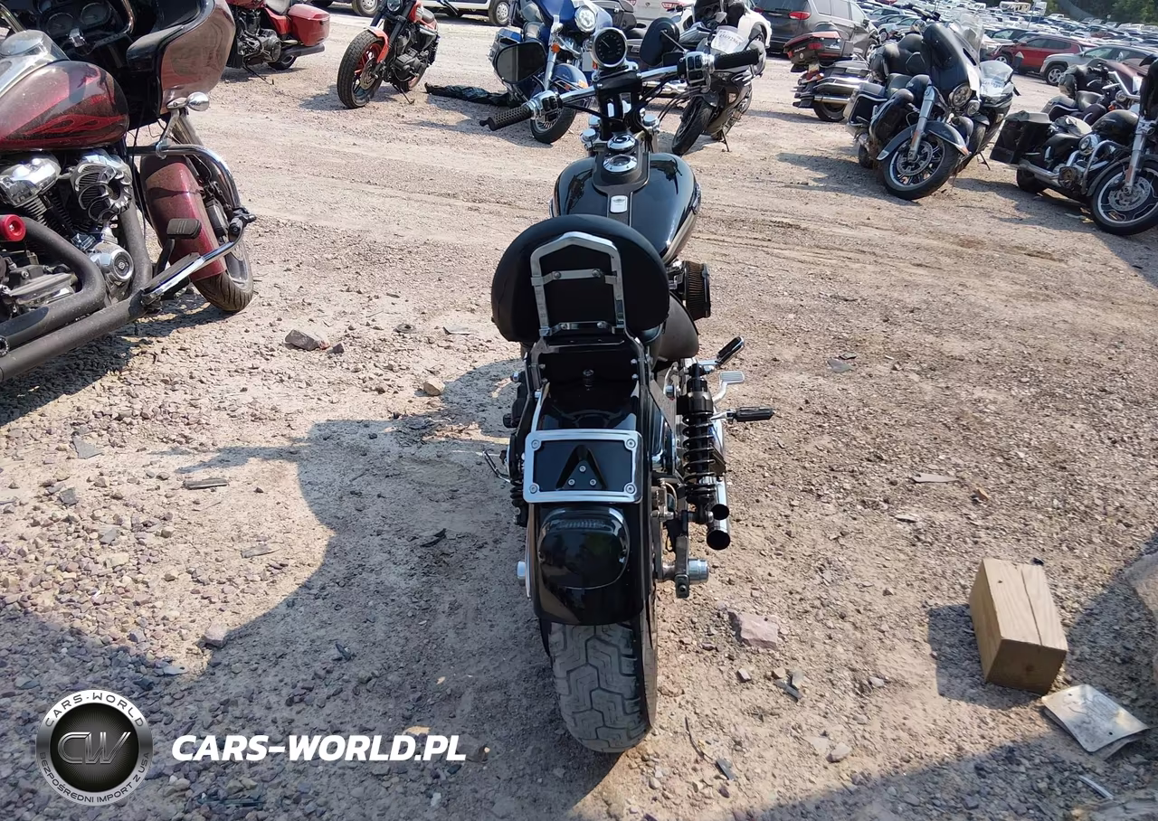 2003 Harley-Davidson Fxd VIN:1HD1GHV113K317583 - 6