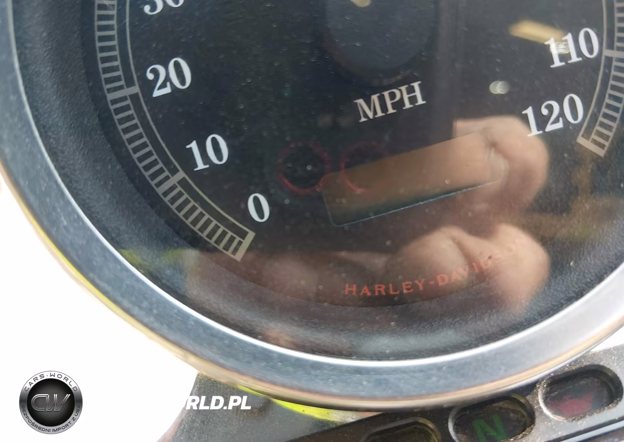 2003 Harley-Davidson Fxd VIN:1HD1GHV113K317583 - 7