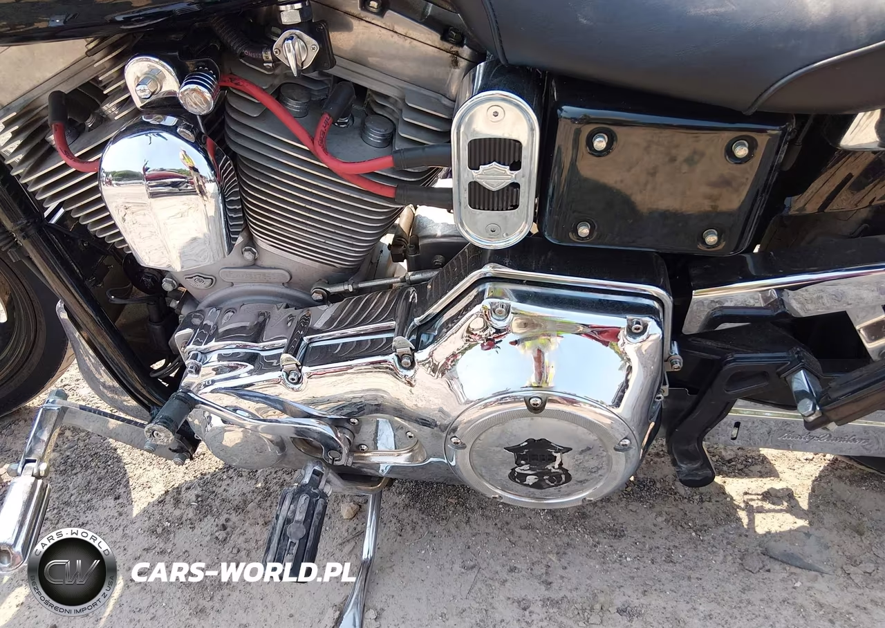 2003 Harley-Davidson Fxd VIN:1HD1GHV113K317583 - 9