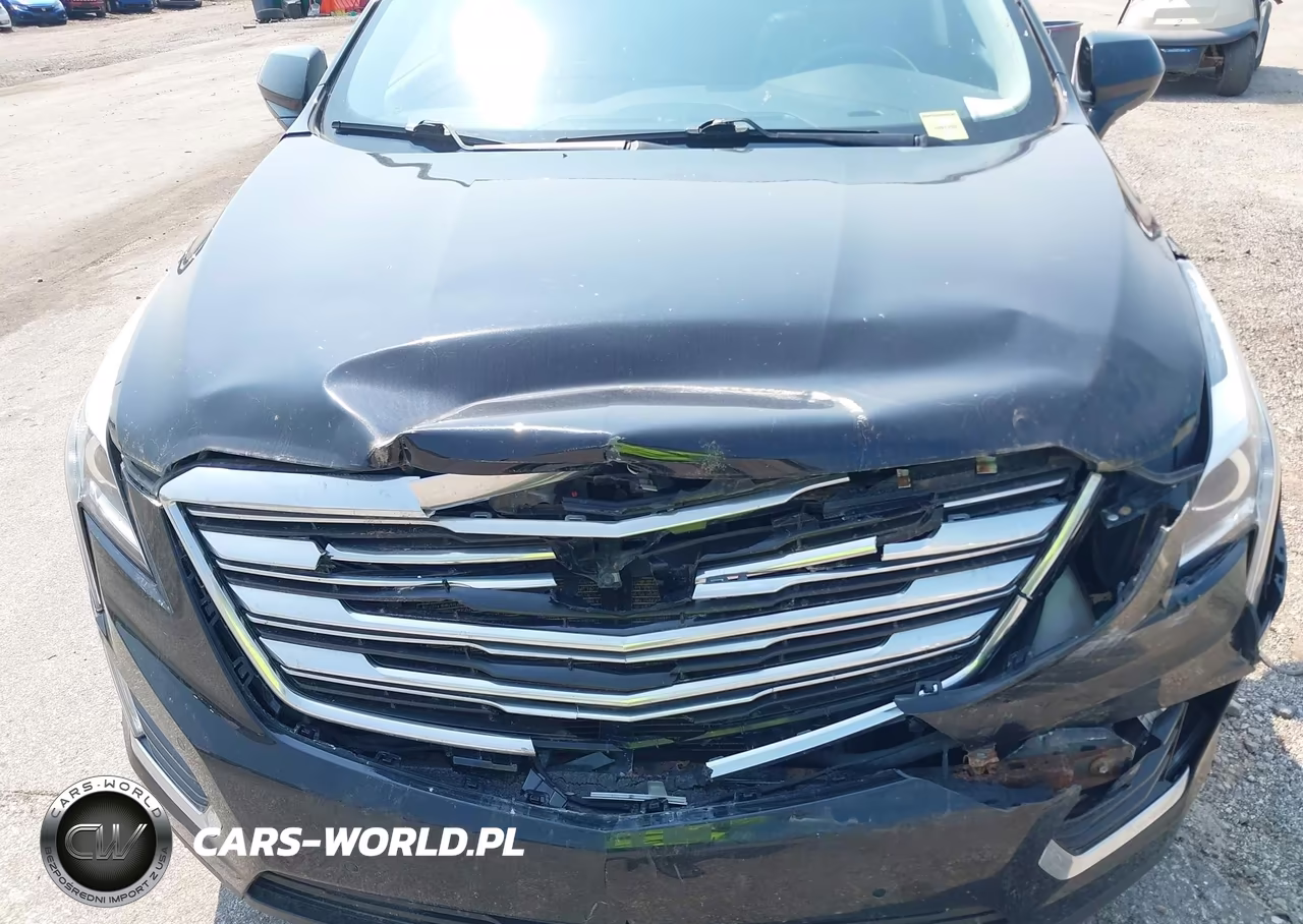 2019 Cadillac Xt5 Luxury VIN:1GYKNDRS0KZ159826 - 10