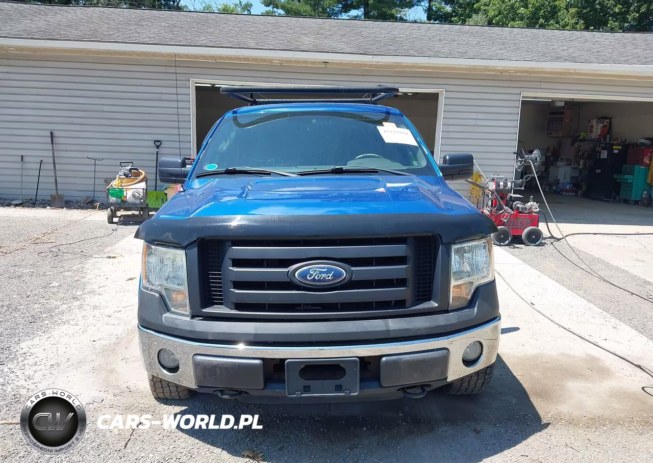 2010 Ford F-150 Xl-Xlt VIN:1FTEW1E8XAFD00619 - 12