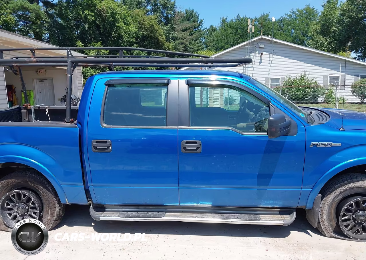 2010 Ford F-150 Xl-Xlt VIN:1FTEW1E8XAFD00619 - 13