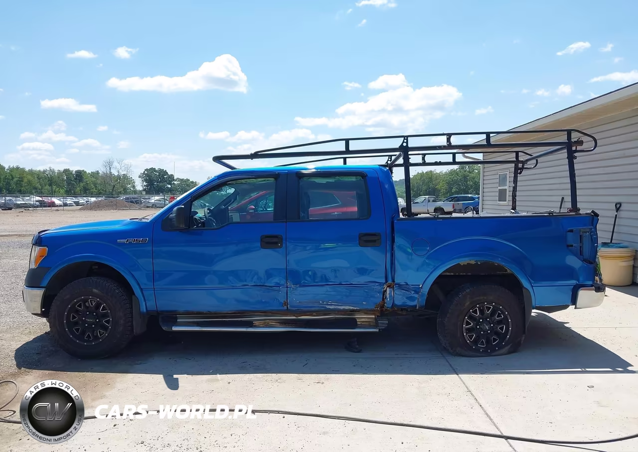 2010 Ford F-150 Xl-Xlt VIN:1FTEW1E8XAFD00619 - 14