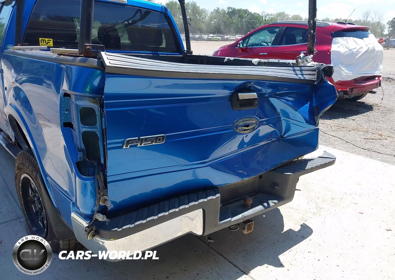 2010 Ford F-150 Xl-Xlt VIN:1FTEW1E8XAFD00619 - 17