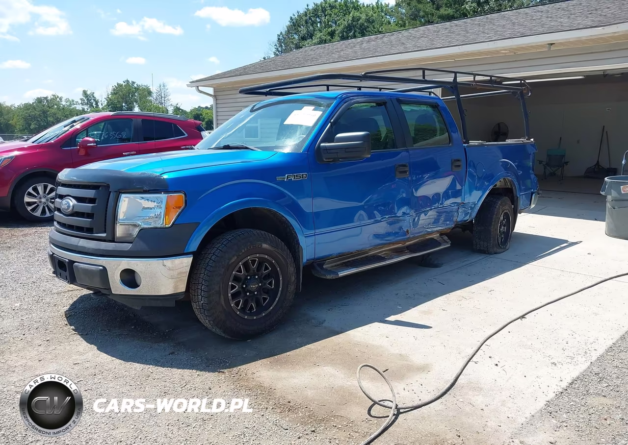 2010 Ford F-150 Xl-Xlt VIN:1FTEW1E8XAFD00619 - 2