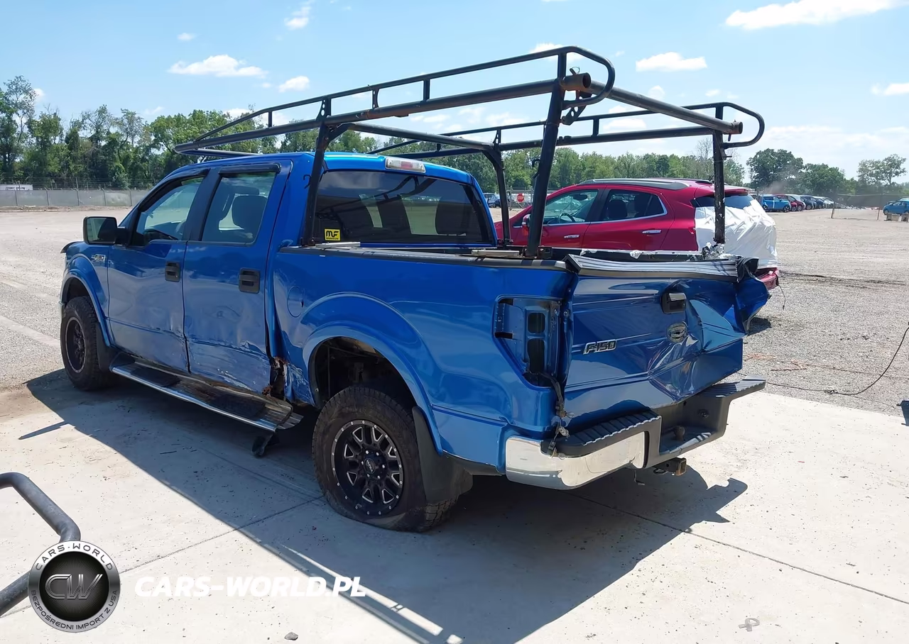 2010 Ford F-150 Xl-Xlt VIN:1FTEW1E8XAFD00619 - 3