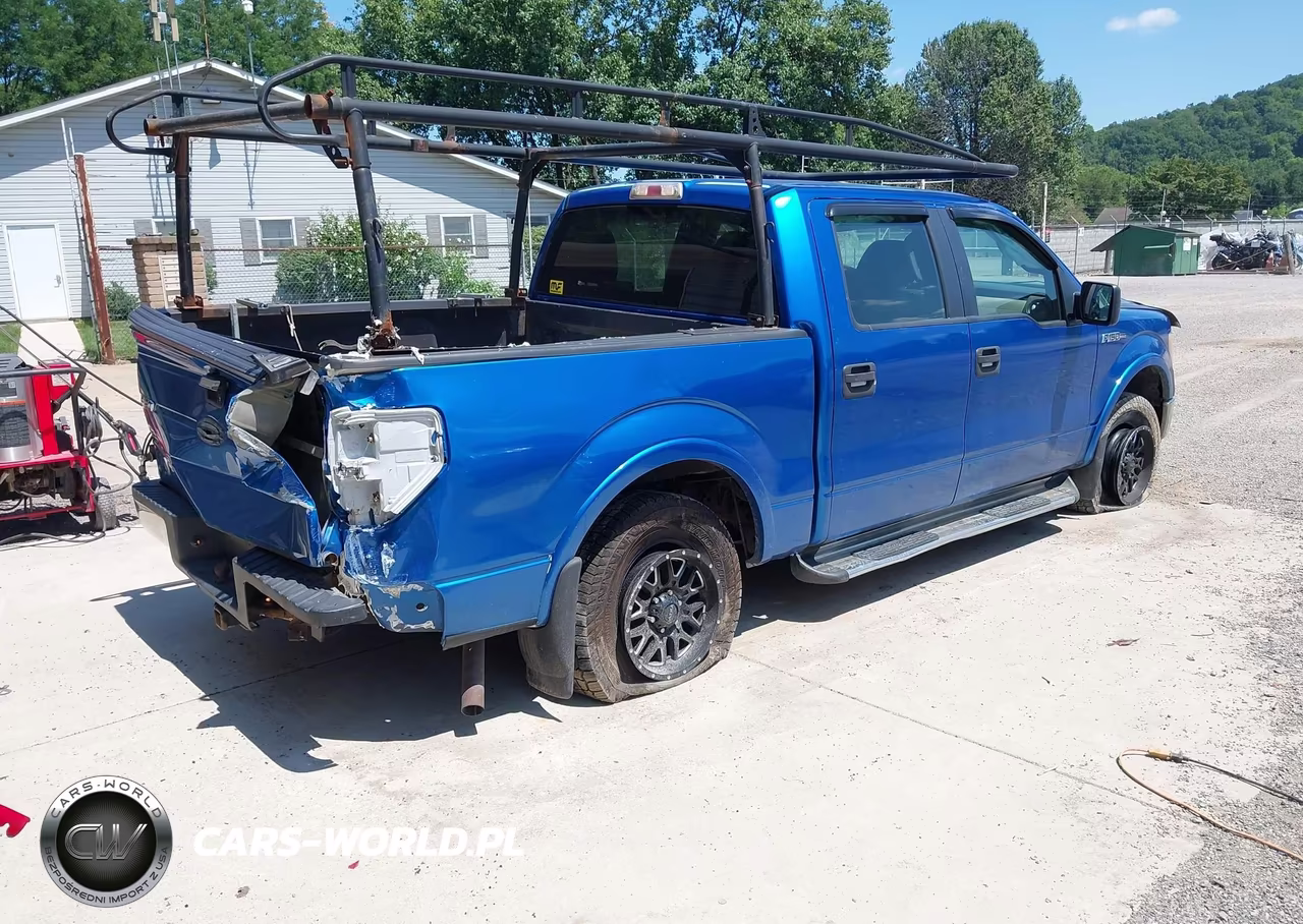 2010 Ford F-150 Xl-Xlt VIN:1FTEW1E8XAFD00619 - 4