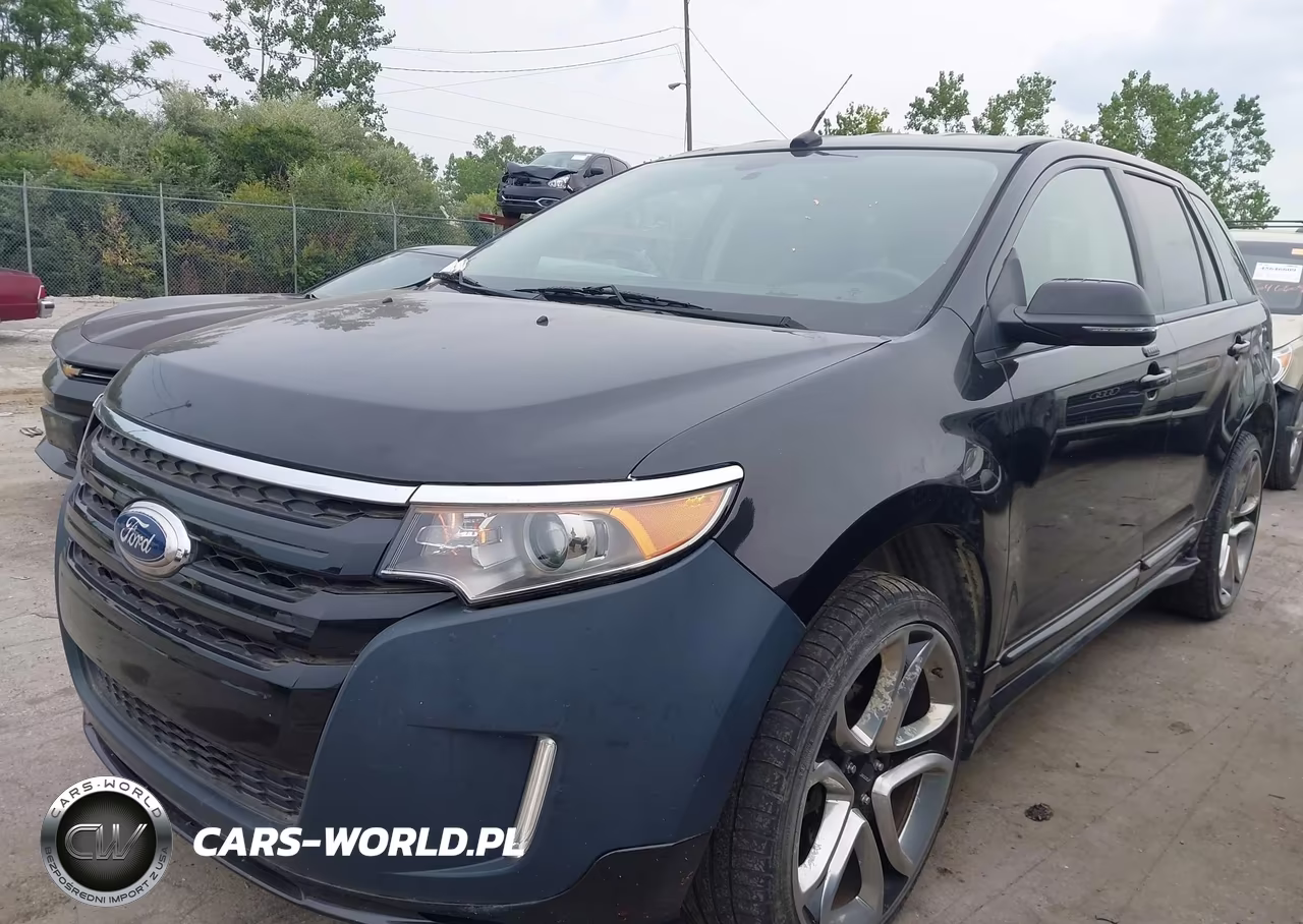 2014 Ford Edge Sport VIN:2FMDK4AK2EBB65598 - 6