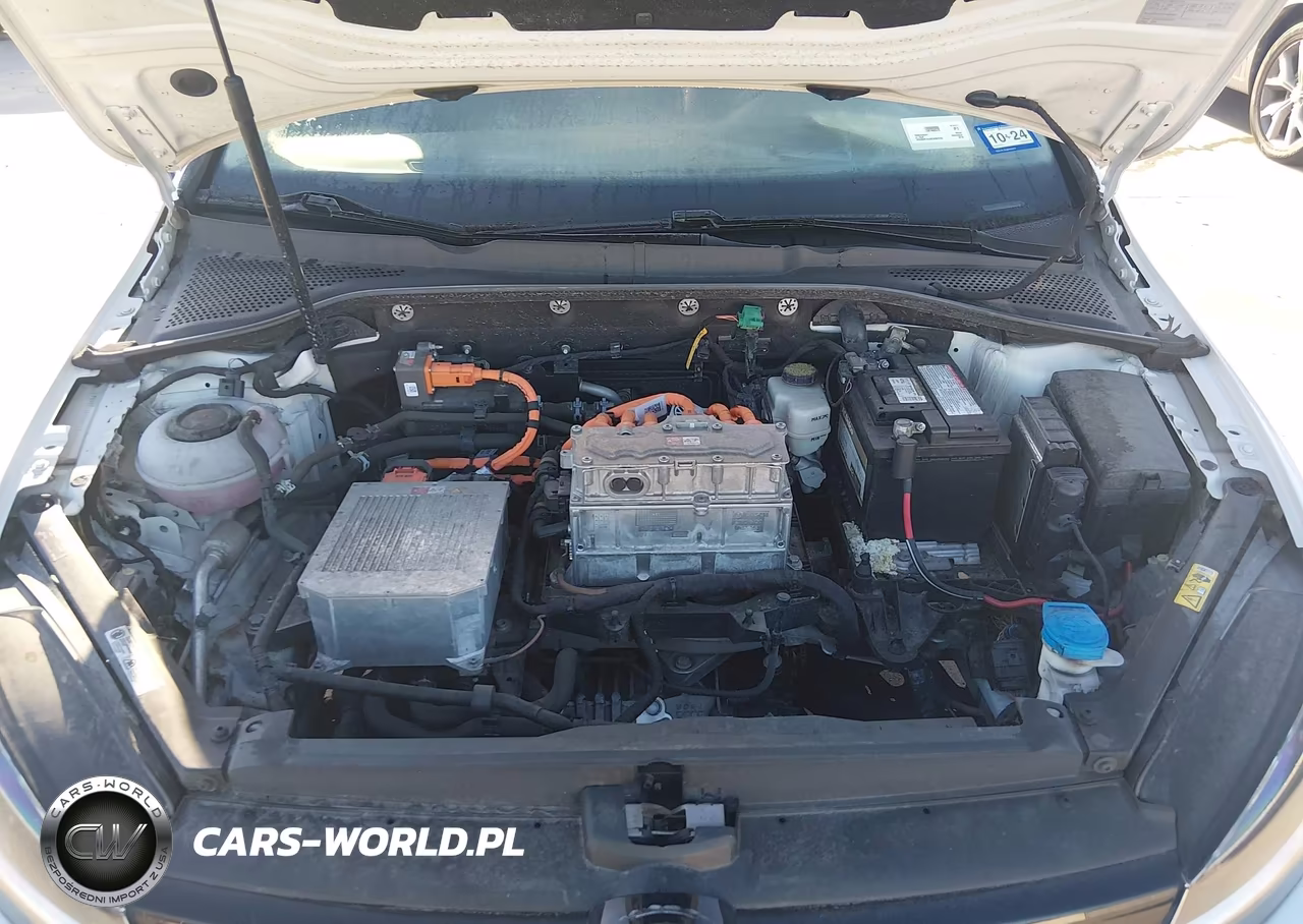 2019 Volkswagen E-Golf Se VIN:WVWKR7AU5KW902376 - 10