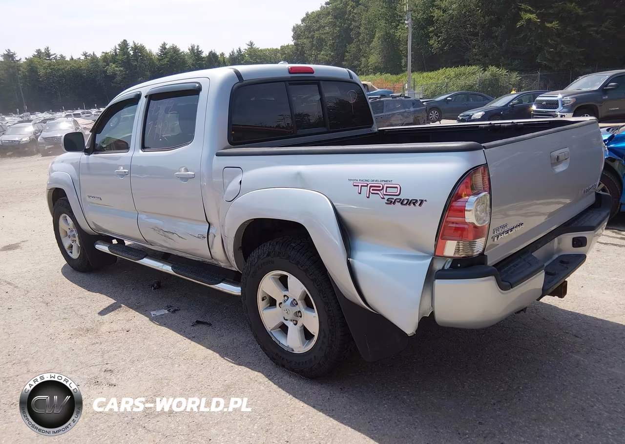 2009 Toyota Tacoma Base V6 VIN:3TMLU42N69M022046 - 3