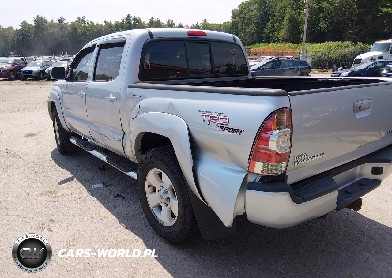 2009 Toyota Tacoma Base V6 VIN:3TMLU42N69M022046 - 6