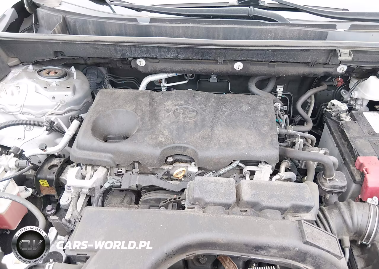 2019 Toyota Rav4 Le VIN:2T3G1RFV6KW001199 - 10