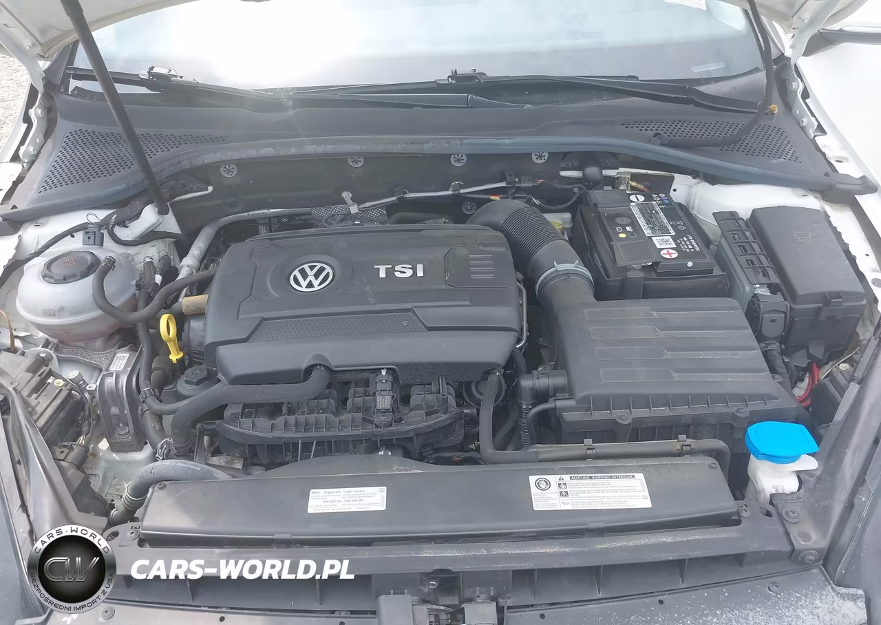 2018 Volkswagen Golf Tsi S-Tsi Se VIN:3VWG17AUXJM279362 - 10