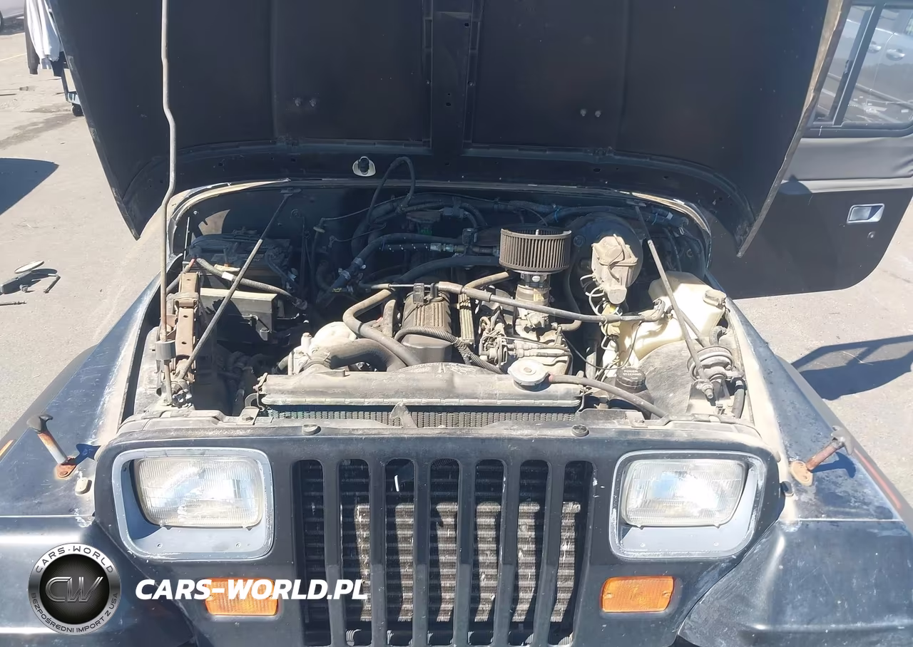 1993 Jeep Wrangler - Yj VIN:1J4FY29SXPP218039 - 10