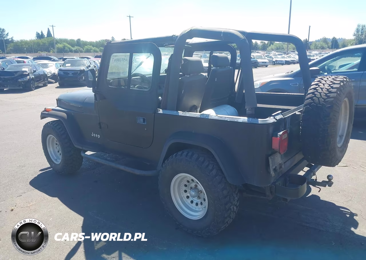 1993 Jeep Wrangler - Yj VIN:1J4FY29SXPP218039 - 3