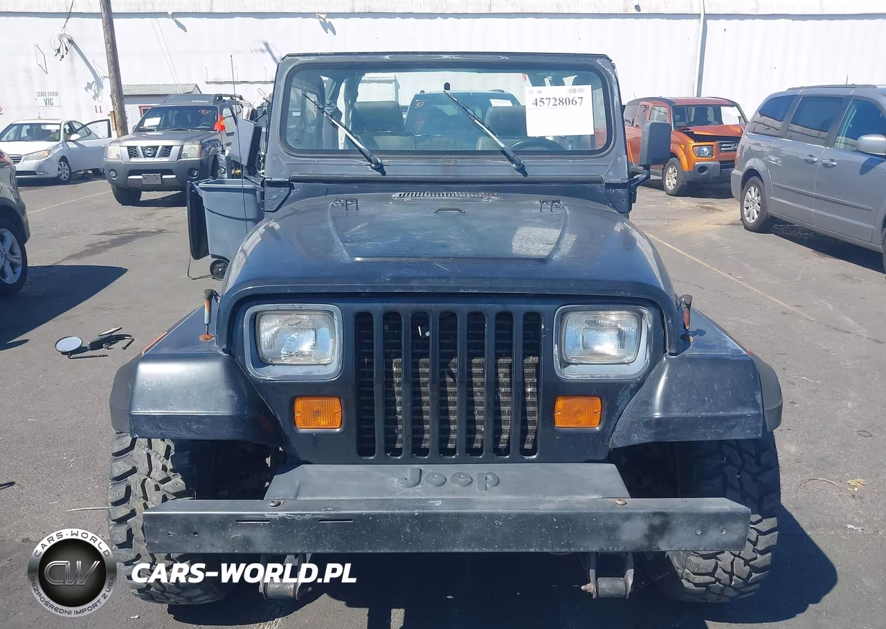 1993 Jeep Wrangler - Yj VIN:1J4FY29SXPP218039 - 6