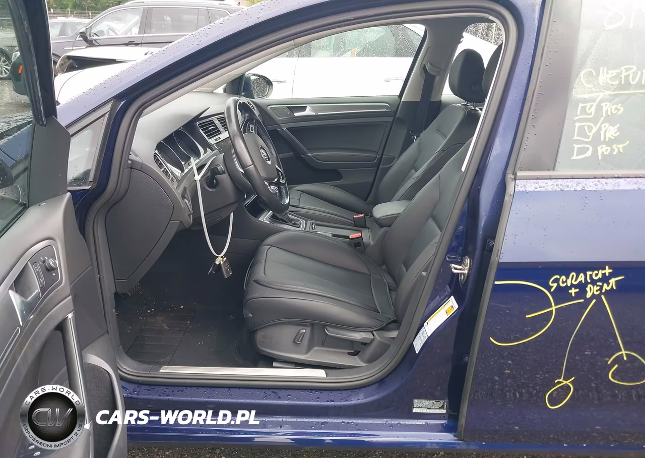 2017 Volkswagen E-Golf Sel Premium VIN:WVWPR7AU2HW950495 - 10