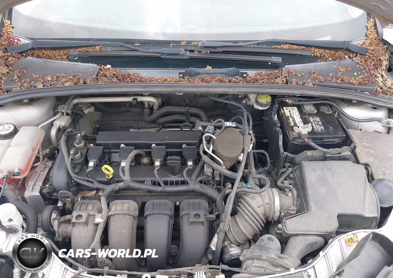 2015 Ford Focus Se VIN:1FADP3K21FL351154 - 10