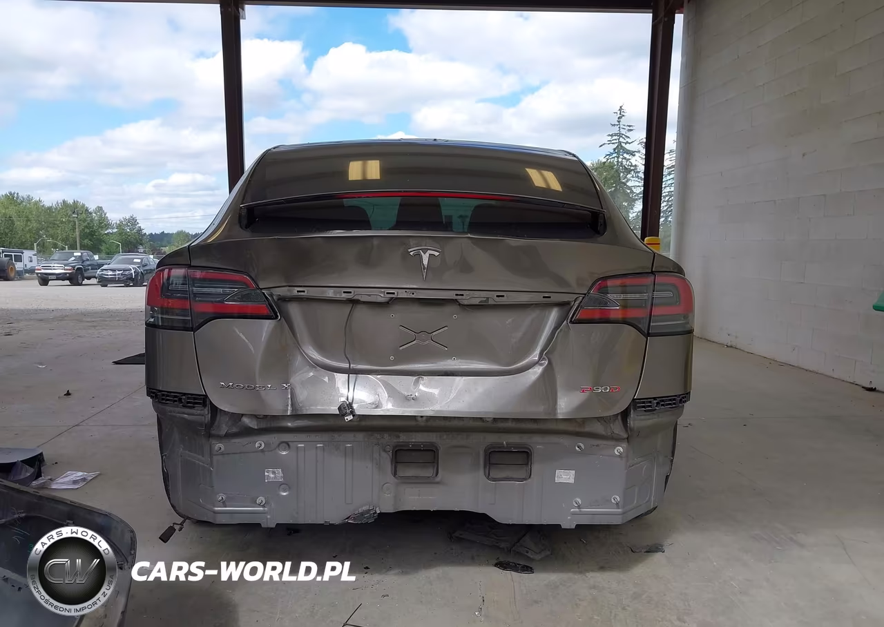 2016 Tesla Model X 60D-P100D-P90D VIN:5YJXCAE49GF000212 - 16