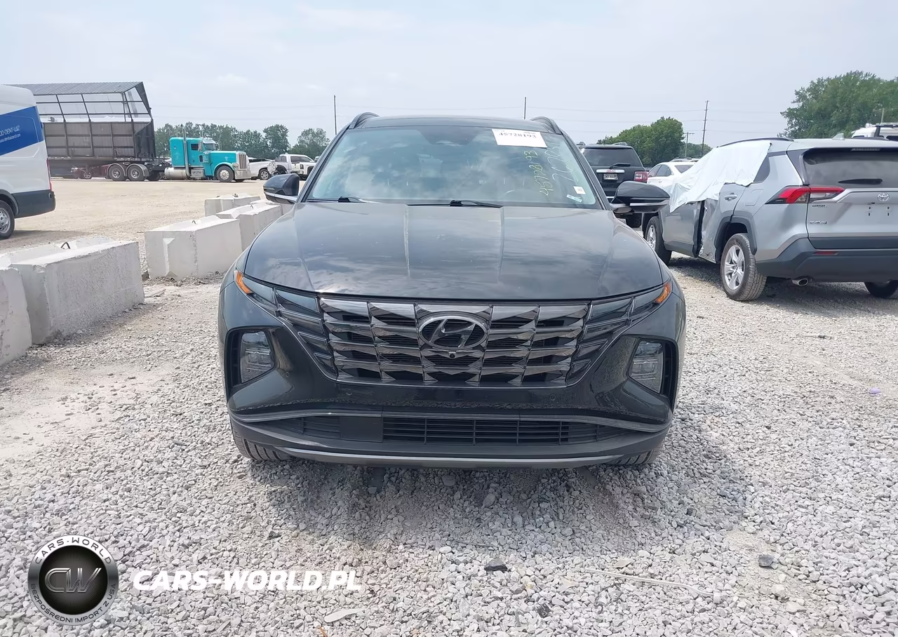 2023 Hyundai Tucson Limited VIN:5NMJECAE6PH267851 - 12