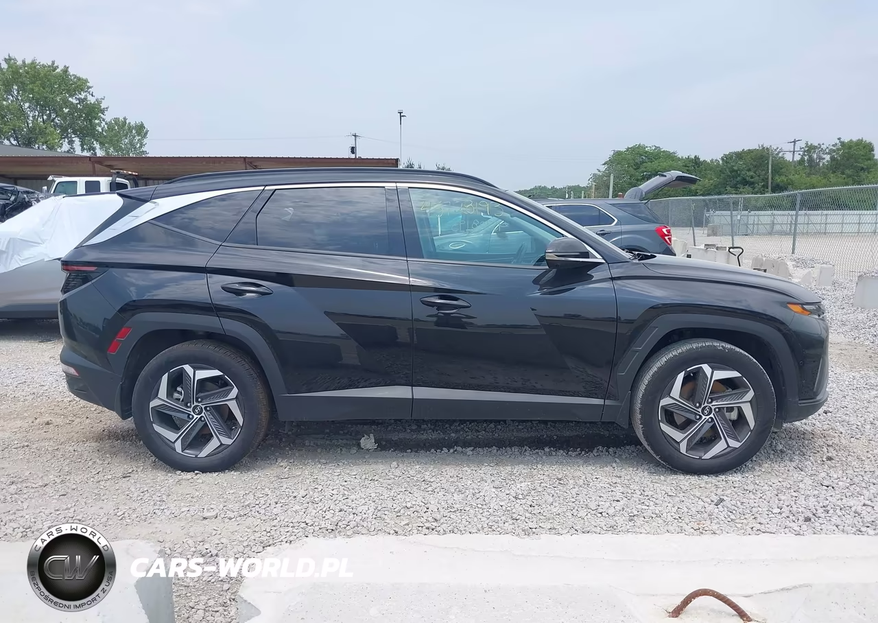 2023 Hyundai Tucson Limited VIN:5NMJECAE6PH267851 - 13