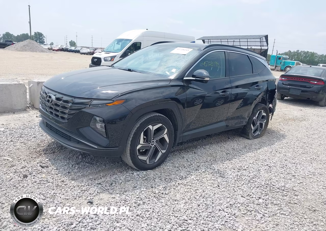 2023 Hyundai Tucson Limited VIN:5NMJECAE6PH267851 - 2