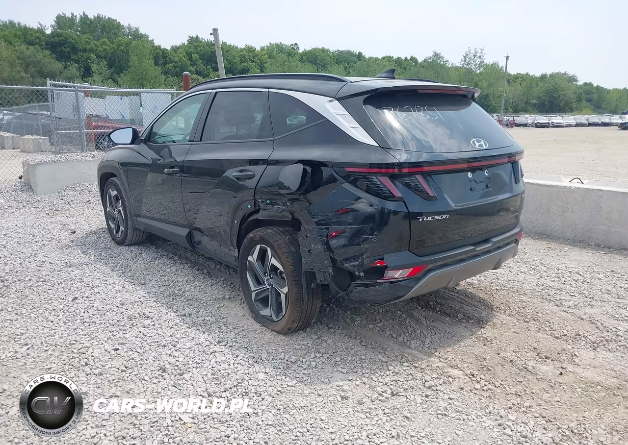 2023 Hyundai Tucson Limited VIN:5NMJECAE6PH267851 - 3