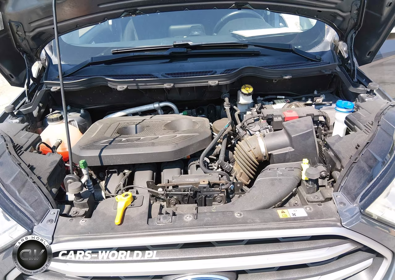 2018 Ford Ecosport Se VIN:MAJ6P1UL3JC200831 - 10