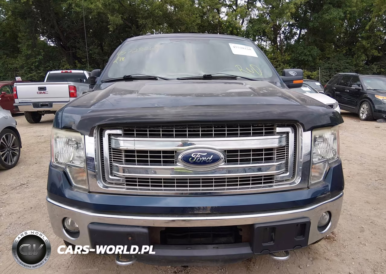 2013 Ford F-150 Xlt VIN:1FTFX1ET8DFA28484 - 12