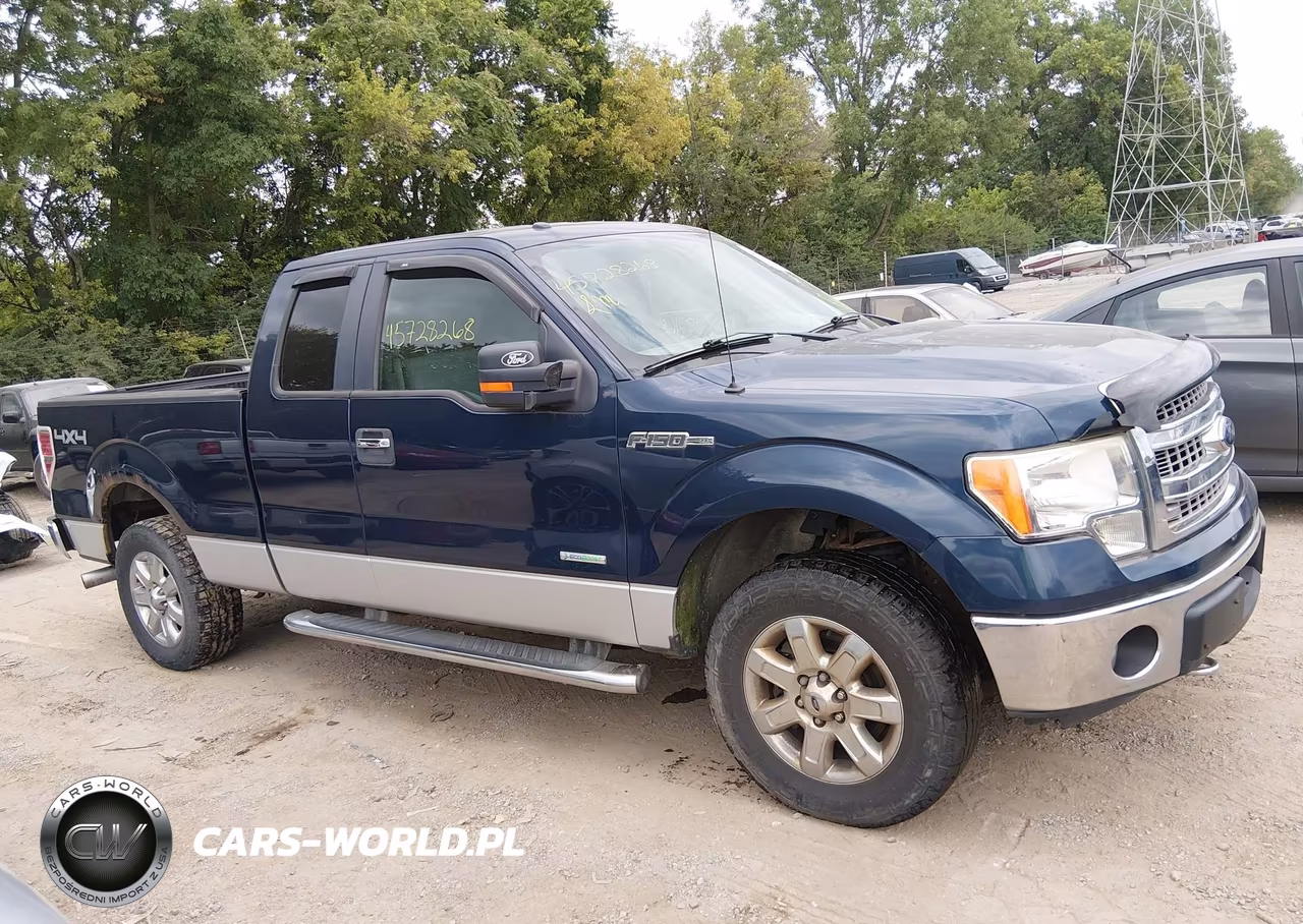 2013 Ford F-150 Xlt VIN:1FTFX1ET8DFA28484 - 13