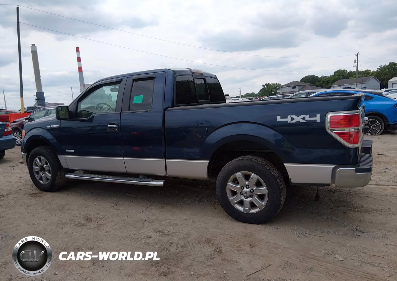 2013 Ford F-150 Xlt VIN:1FTFX1ET8DFA28484 - 14