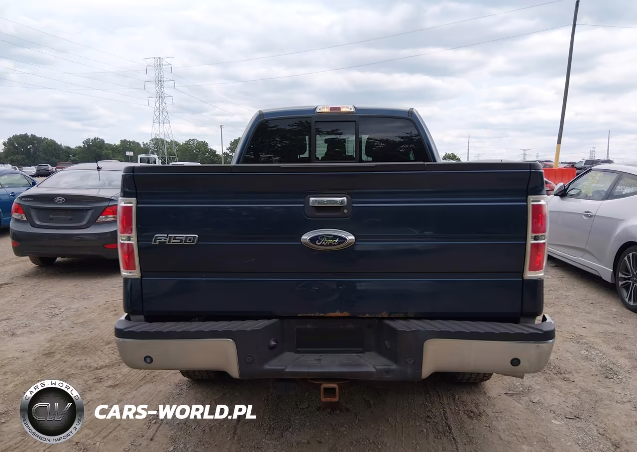 2013 Ford F-150 Xlt VIN:1FTFX1ET8DFA28484 - 16