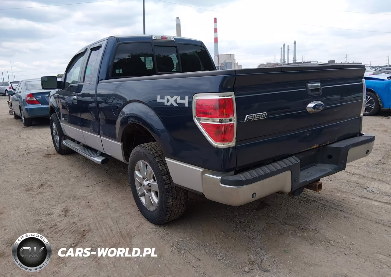2013 Ford F-150 Xlt VIN:1FTFX1ET8DFA28484 - 3