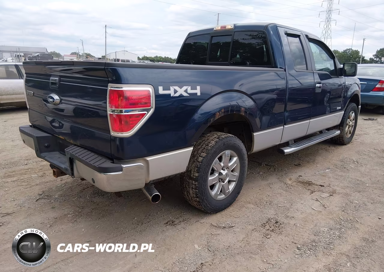 2013 Ford F-150 Xlt VIN:1FTFX1ET8DFA28484 - 4