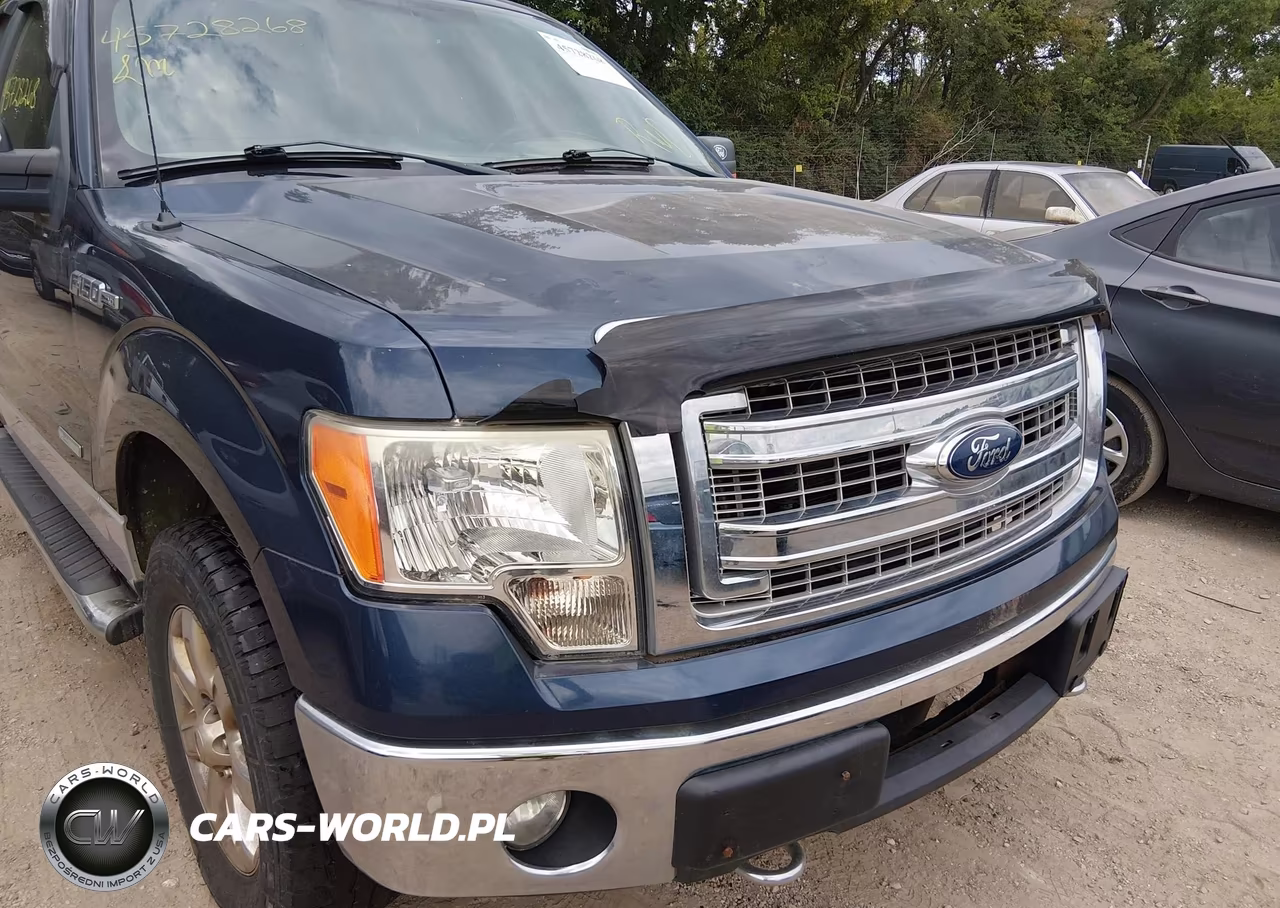 2013 Ford F-150 Xlt VIN:1FTFX1ET8DFA28484 - 6