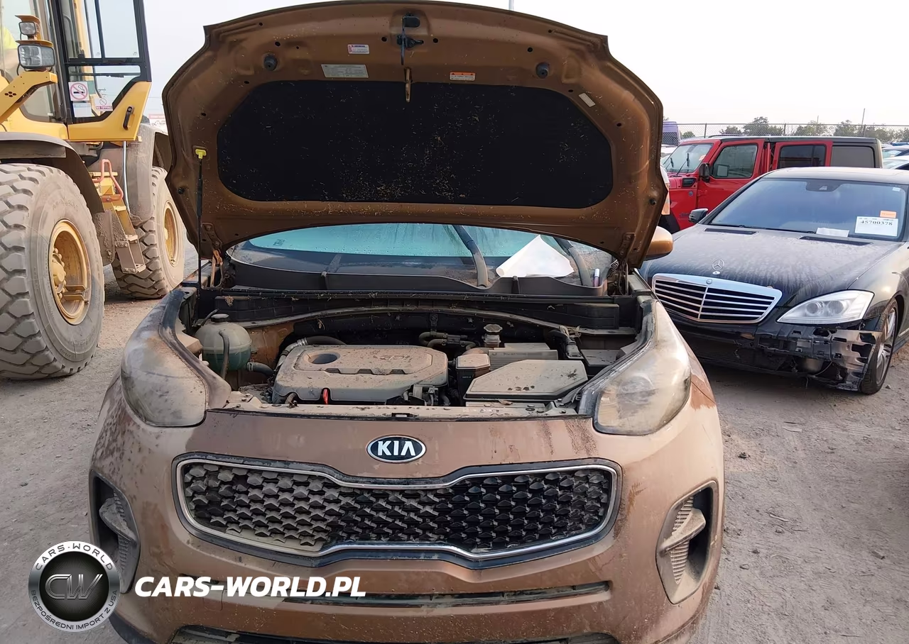 2017 Kia Sportage Lx VIN:KNDPM3AC1H7065598 - 10
