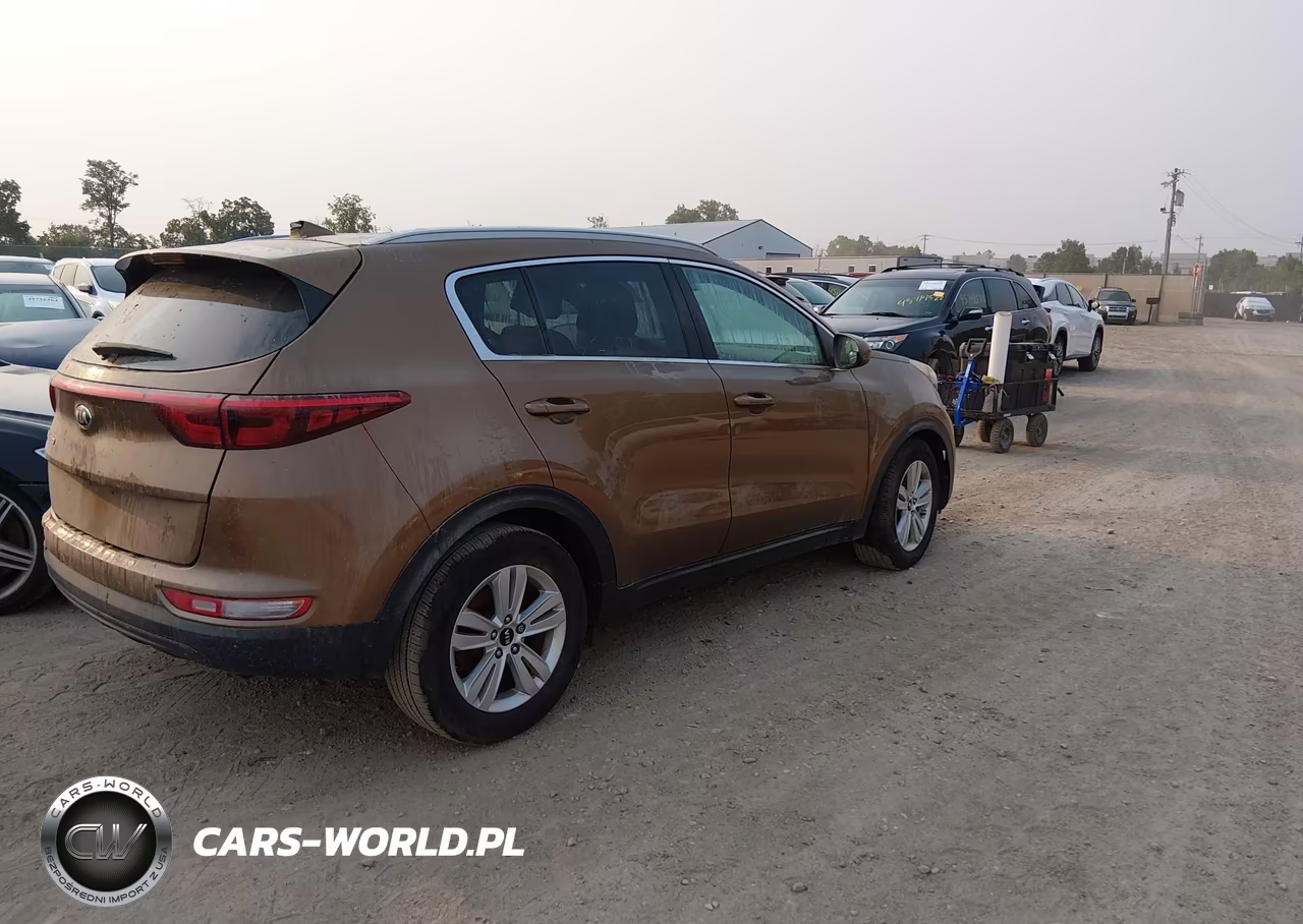2017 Kia Sportage Lx VIN:KNDPM3AC1H7065598 - 4