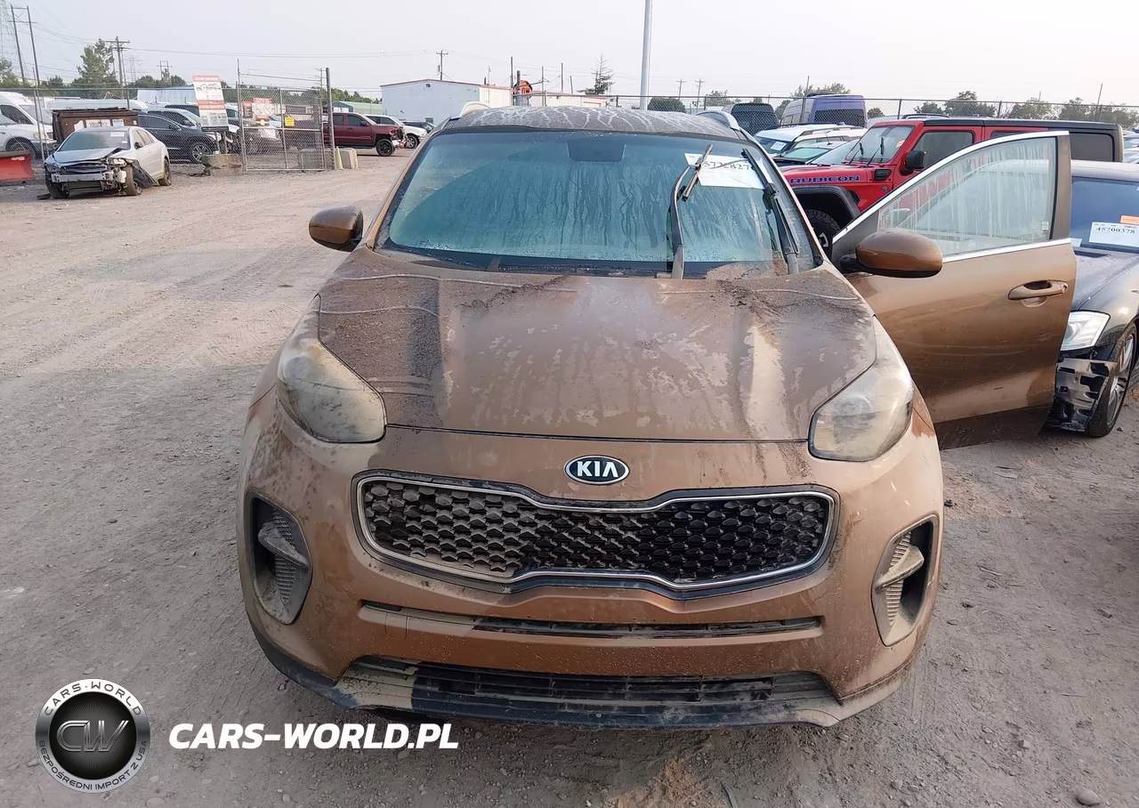 2017 Kia Sportage Lx VIN:KNDPM3AC1H7065598 - 6