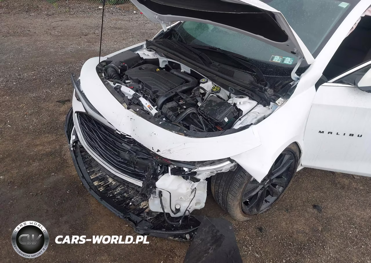 2023 Chevrolet Malibu Fwd 1Lt VIN:1G1ZD5ST8PF186774 - 19